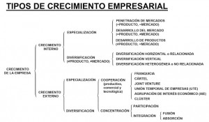 CRECIMIENTO EMPRESARIAL AAA