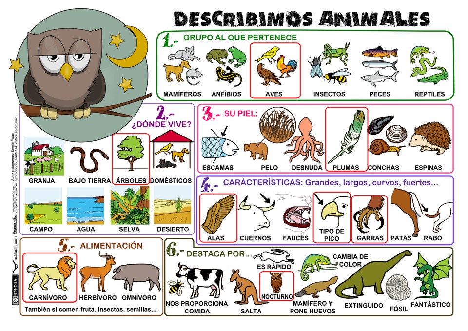 animales