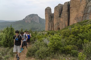 Subiendo a través del matorral