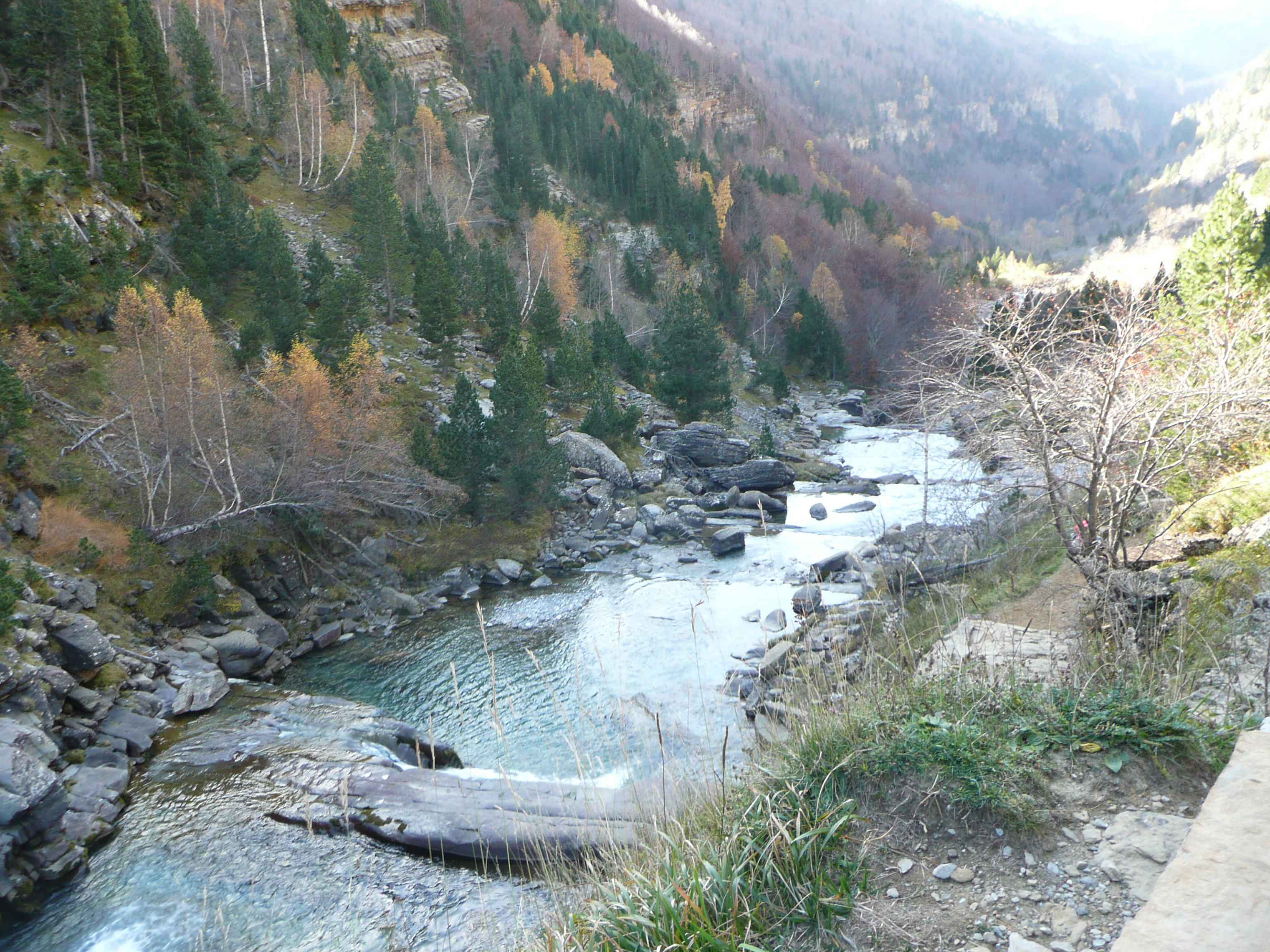 Auda Lera