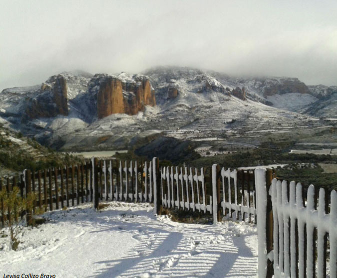 Foto Levissa