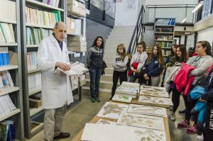 Visita IPE mar17 7